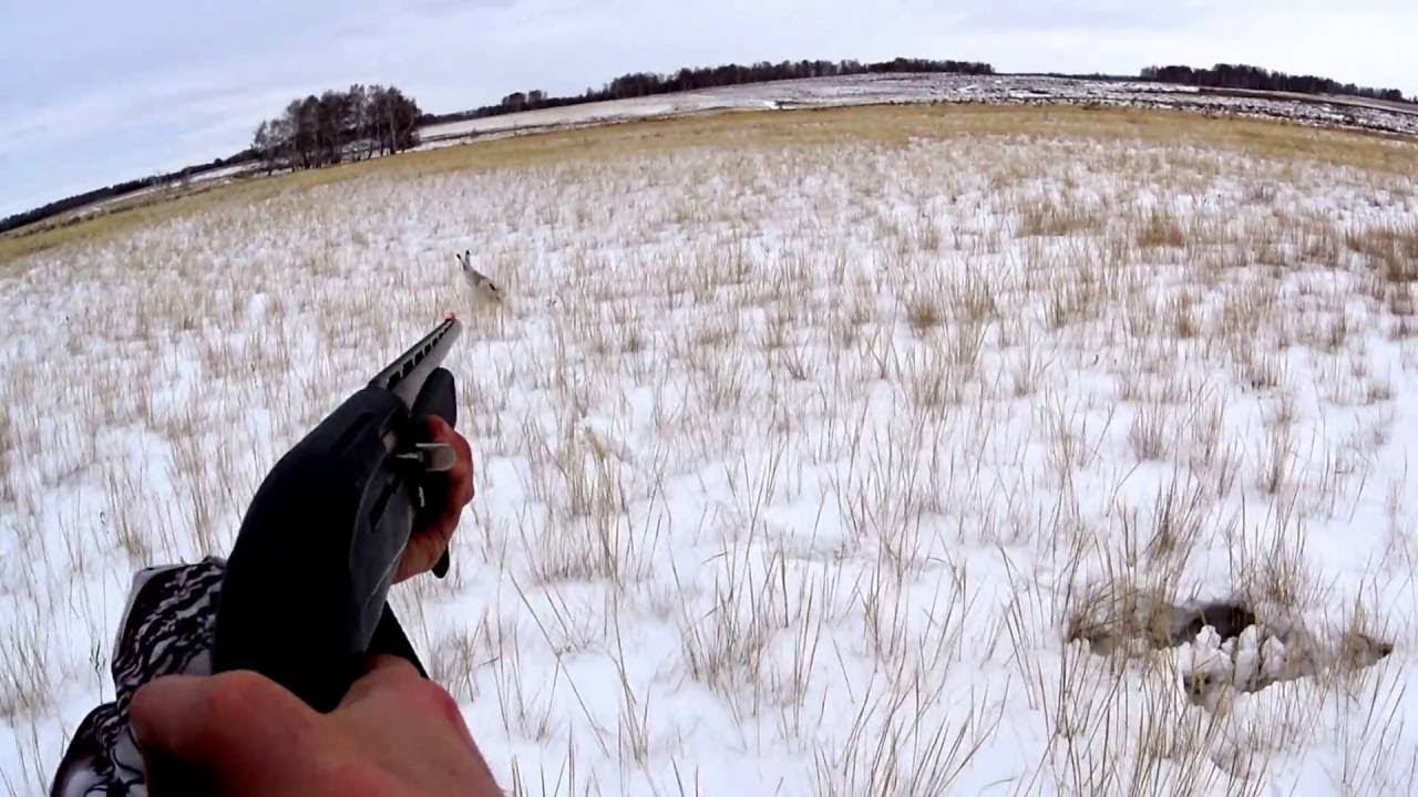 ЛУЧШИЕ МОМЕНТЫ С ОХОТЫ НА ЗАЙЦА И УТКУ 2020. ТОЛЬКО ВЫСТРЕЛЫ / MAX HUNTER смотреть онлайн