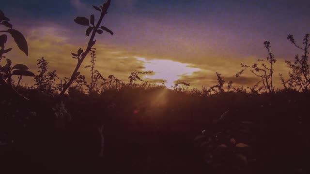 Вещие сны Атлантиды Кирилл Богомилов. Русские гусли и флейты. смотреть онлайн