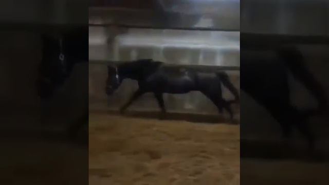 Больше 100 см. Наши умнички . смотреть онлайн