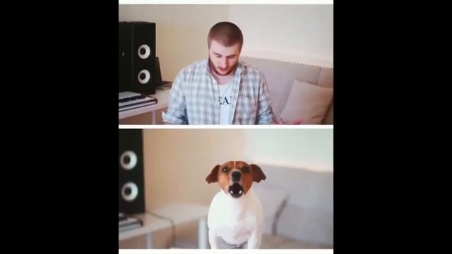 ТОП 5 ЛУЧШИХ ПАРОДИЙ НА DESPACITO | ДЕСПАСИТО #2 ПОПРОБУЙ НЕ ПОДПЕВАТЬ