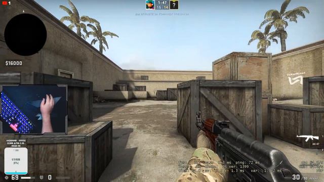 стрим cs go смотреть онлайн