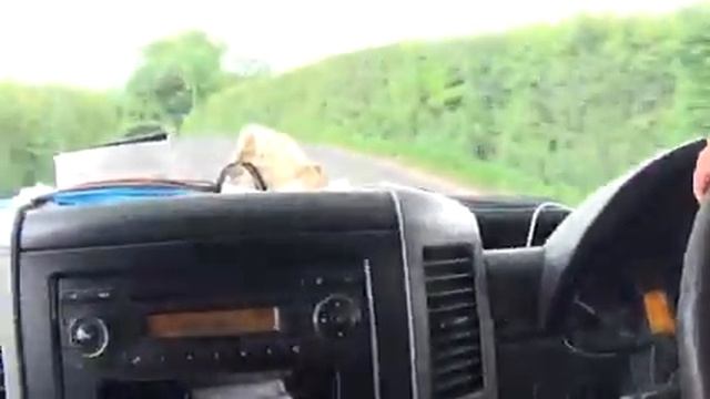 Mercedes-Benz Sprinter 313 CDI For A Ride Part 1 смотреть онлайн