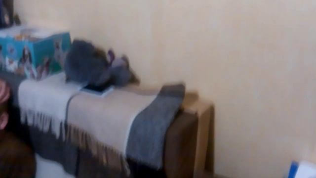 Игра 'мафия' смотреть онлайн