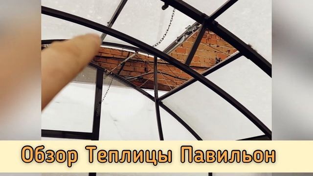 ТЕПЛИЦА ПАВИЛЬОН. ОБЗОР НА ВЫСТАВКЕ. смотреть онлайн