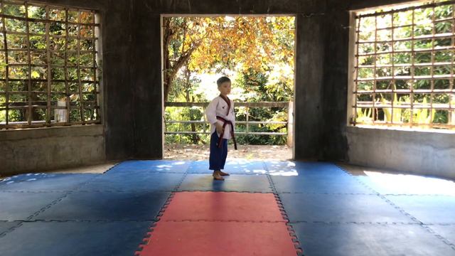 Taegeuk 4 & 7 - GOLD MEDAL - 2021 PTA REGION 2 - Elijah Immanuel Rimando - 7 Years Old - Black Belt смотреть онлайн