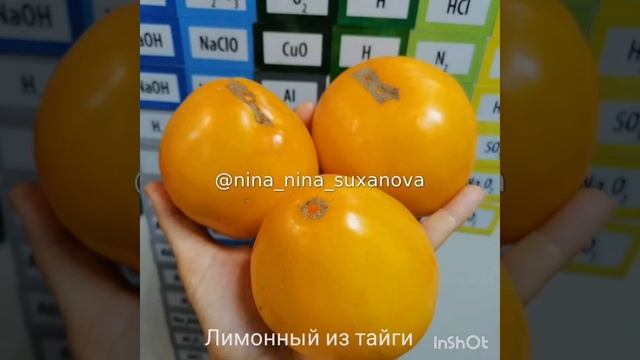 самарские томаты смотреть онлайн