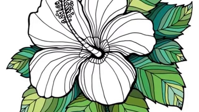 Paint by Number (App) - Rainbow Hibiscus смотреть онлайн