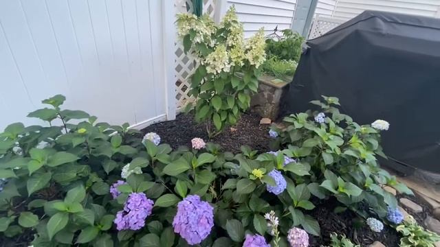Awkward Garden Space Design (triangle shape garden) смотреть онлайн