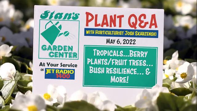 Tropical Planting And Gardening Expertise: Learn With Stan's!