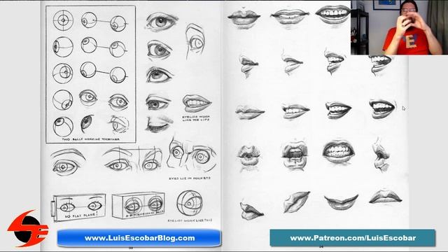Drawing The Head And Hands by Andrew Loomis Review смотреть онлайн