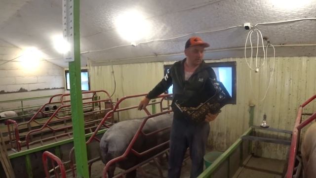 ХОТЕЛ КАК ЛУЧШЕ, А ПОЛУЧИЛОСЬ КАК...