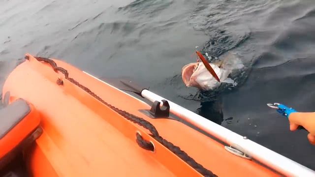 Рыбалка в море. Треска, терпуг и окунь смотреть онлайн