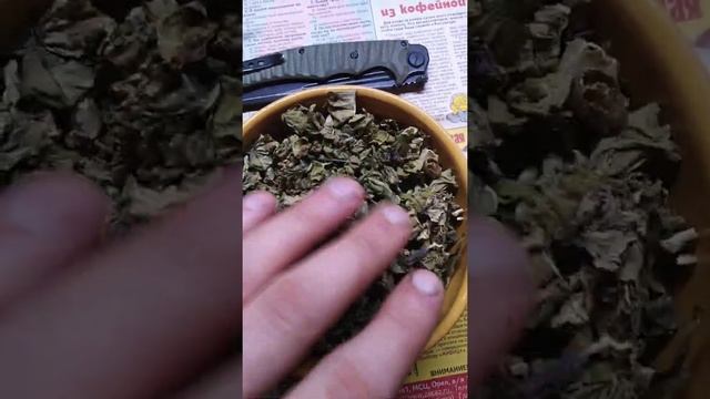 Белена черная(сбор) смотреть онлайн