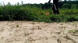 Леска, нож или диск. Чем лучше косить высокую траву?