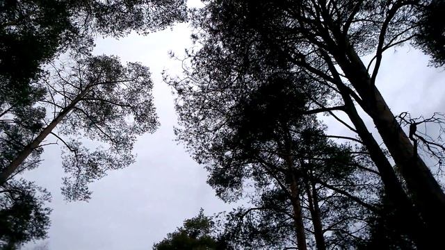 Evening after training / Вечер после тренировки смотреть онлайн