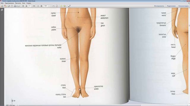 woman смотреть онлайн