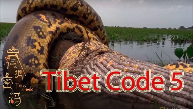 Tibet Code 5 смотреть онлайн