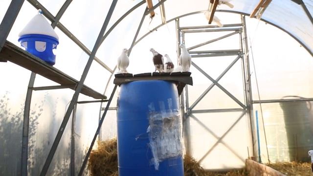 Андижанские (Омск) осень 2021г. смотреть онлайн