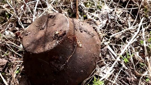 НА МОТОБЛОКЕ ЕДЕМ В ЗАБРОШЕННУЮ ДЕРЕВНЮ КОПАТЬ МЕТАЛЛ! смотреть онлайн