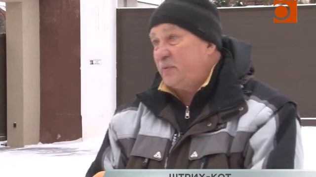 Легализуйся,собака! Вопрос маркировки и учета животных урегулируют в ближайшее время смотреть онлайн