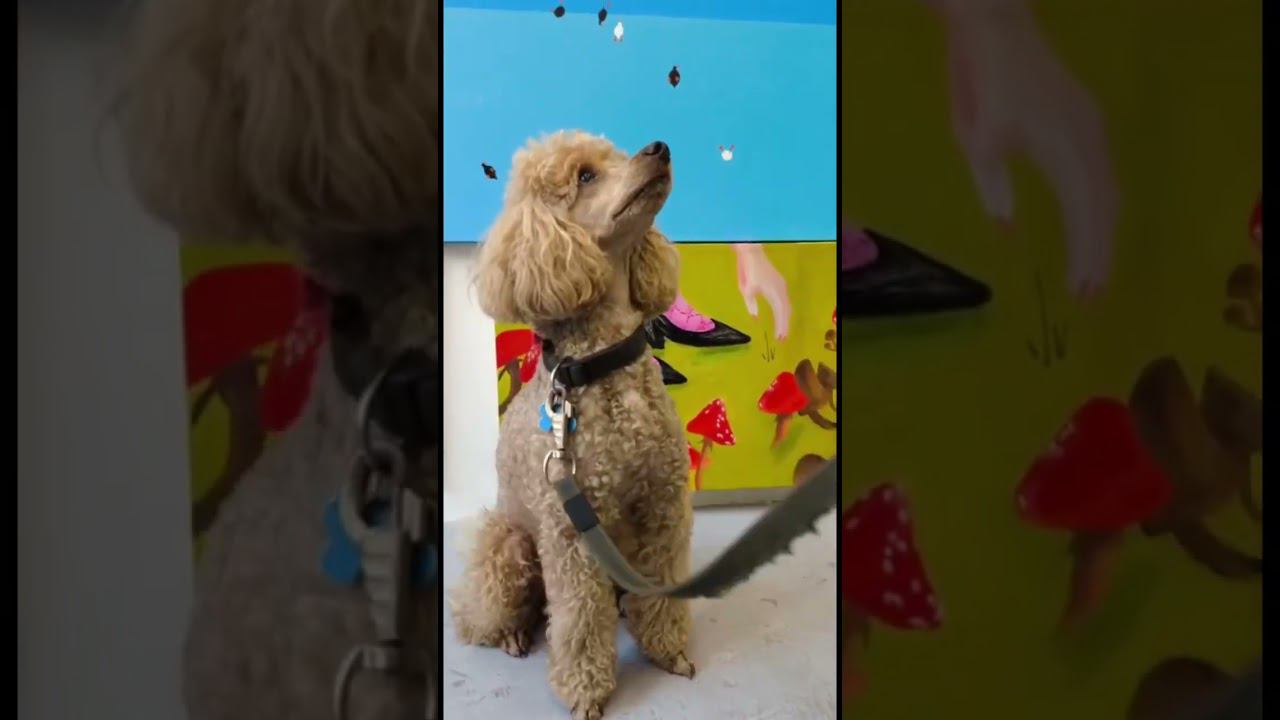 Вчера в Галерее ЗДЕСЬ на Таганке открылась выставка «ЛЕТО ЗДЕСЬ». смотреть онлайн