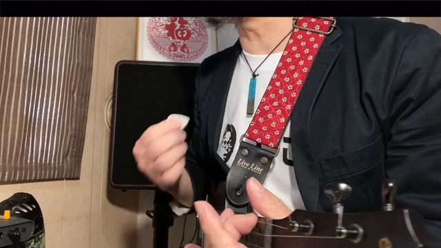 『Vanity Factory』佐野元春　（ウクレレ弾き語り・KR Mini） смотреть онлайн