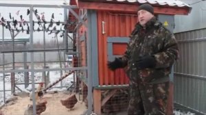 Зимнее освещение в курятнике.