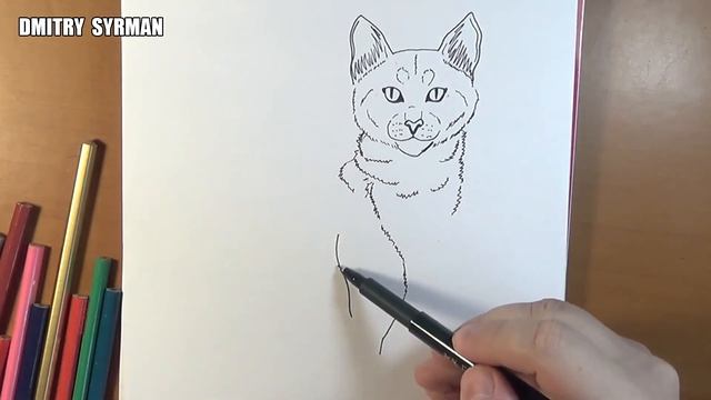 How to draw Bluestar, Cats Warriors, Как нарисовать Синюю Звезду, Коты Воители смотреть онлайн