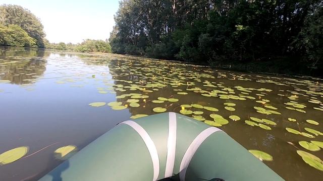 Сплав среди кувшинок. Томь. Кузбасс. Пакрафт ТУНГУС смотреть онлайн