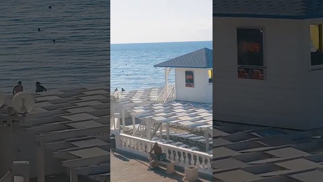 Архипо-Осиповка 21 сентября 2023 года ? Обстановка на 9 утра?️ Видео из YouTube от «Денис Архипка смотреть онлайн