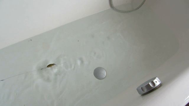 MVI 1315 смотреть онлайн