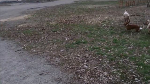 Мальчиши)) смотреть онлайн