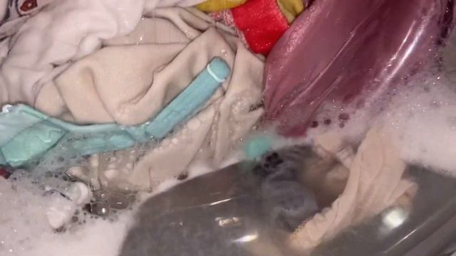 LG 8KG: Интенсивно 60° . Стирка светлых тканей и обуви. смотреть онлайн