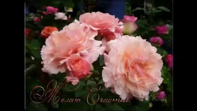 ПОДАРЮ ТЕБЕ ПОДАРОК Я ! смотреть онлайн