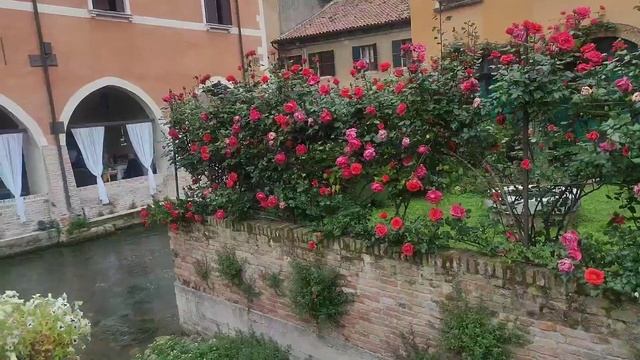 ❣️ Italy ??Город и ресторан,где родился десерт Tiramisù смотреть онлайн