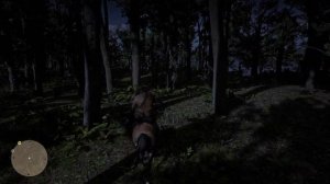 Где найти пуму, пантеру в Red Dead Redemption 2. Советы по сумкам Артура.