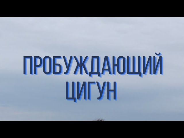 ПРОБУЖДАЮЩИЙ ЦИГУН смотреть онлайн