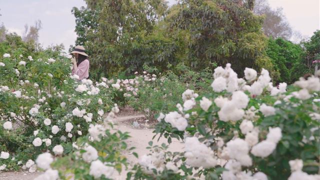 #04 Paint Rose Garden | Visit Botanical Garden | Make Watercolor Bookmark | Dreamy Art Vlog смотреть онлайн