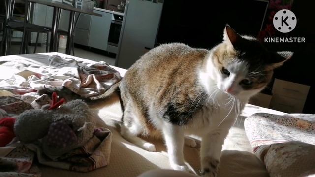 Привес и как я мотивируюсь на интервальное голодание