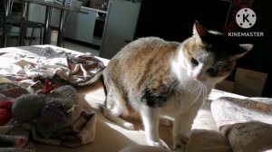 Привес и как я мотивируюсь на интервальное голодание