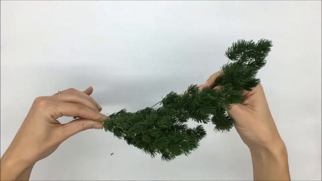 Стабілізовані рослини: Мінг Ферн/Ming fern смотреть онлайн