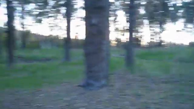 лес в мае прекрасно чудесно люблю весну смотреть онлайн