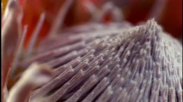 Nine Inch Nails - 2002 - The Day The World Went Away смотреть онлайн