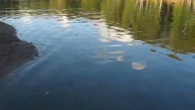 "Зачем творить языки?.." (ТеплоСтанье Продакшн представляет) смотреть онлайн