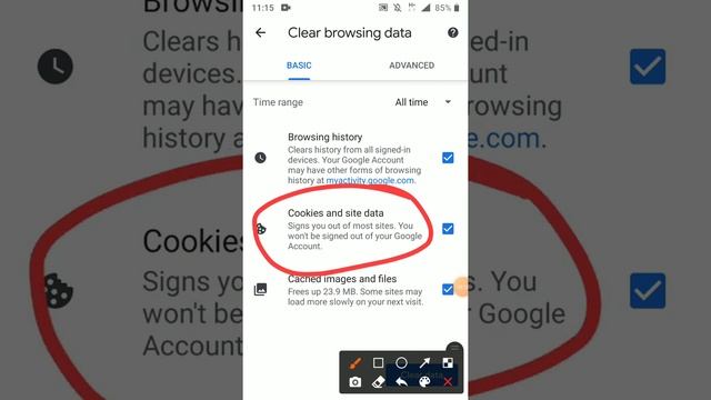 How To Clear Cookies And Catch On Google Chrome ??
