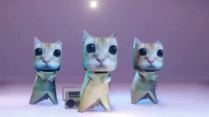 Районный прокурор