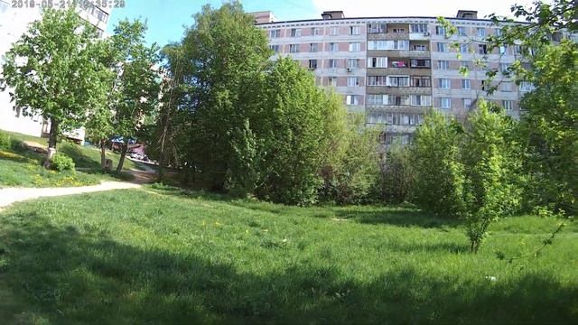 Загадочные животные Подмосковья! смотреть онлайн