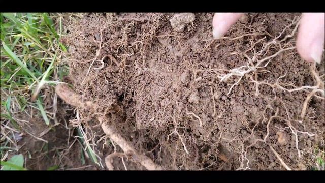 #165 Testing "The Mini Hoard" Nokta Makro смотреть онлайн