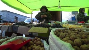 Жизнь в деревне на Волге. Что мы успели за 3 месяца жизни в деревне. [Жизнь в деревне]