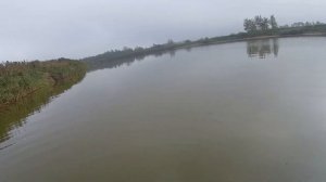 Ловля мотыля.